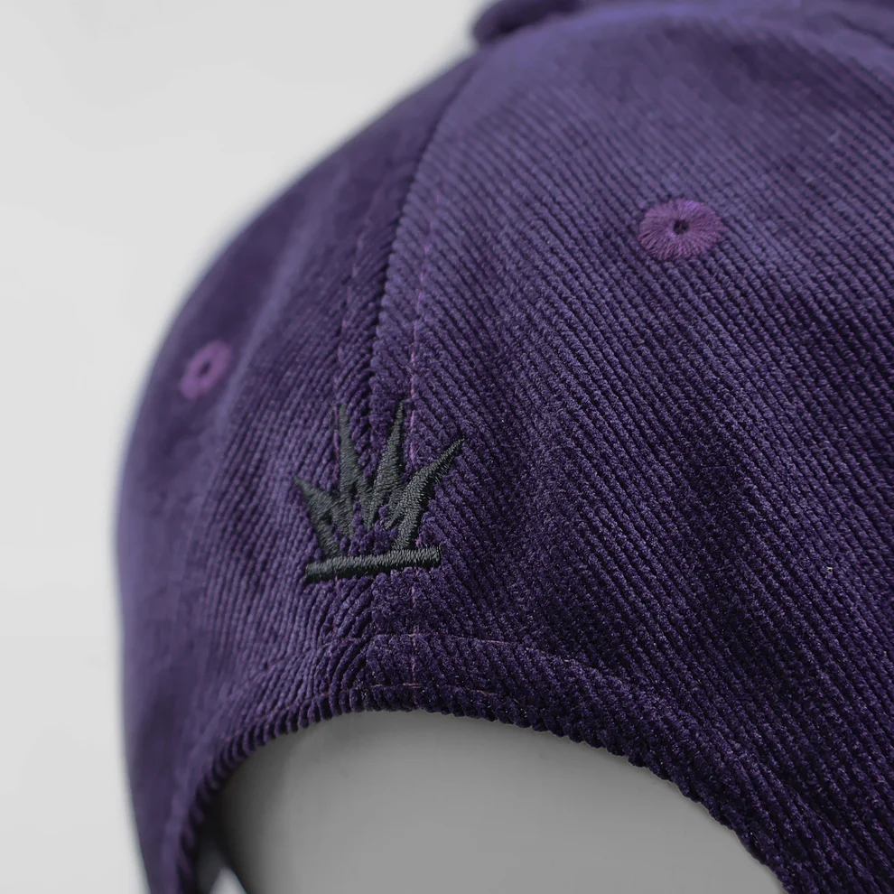 Gorra Snapback Pyro Corduroy Landscape - Imagen 3