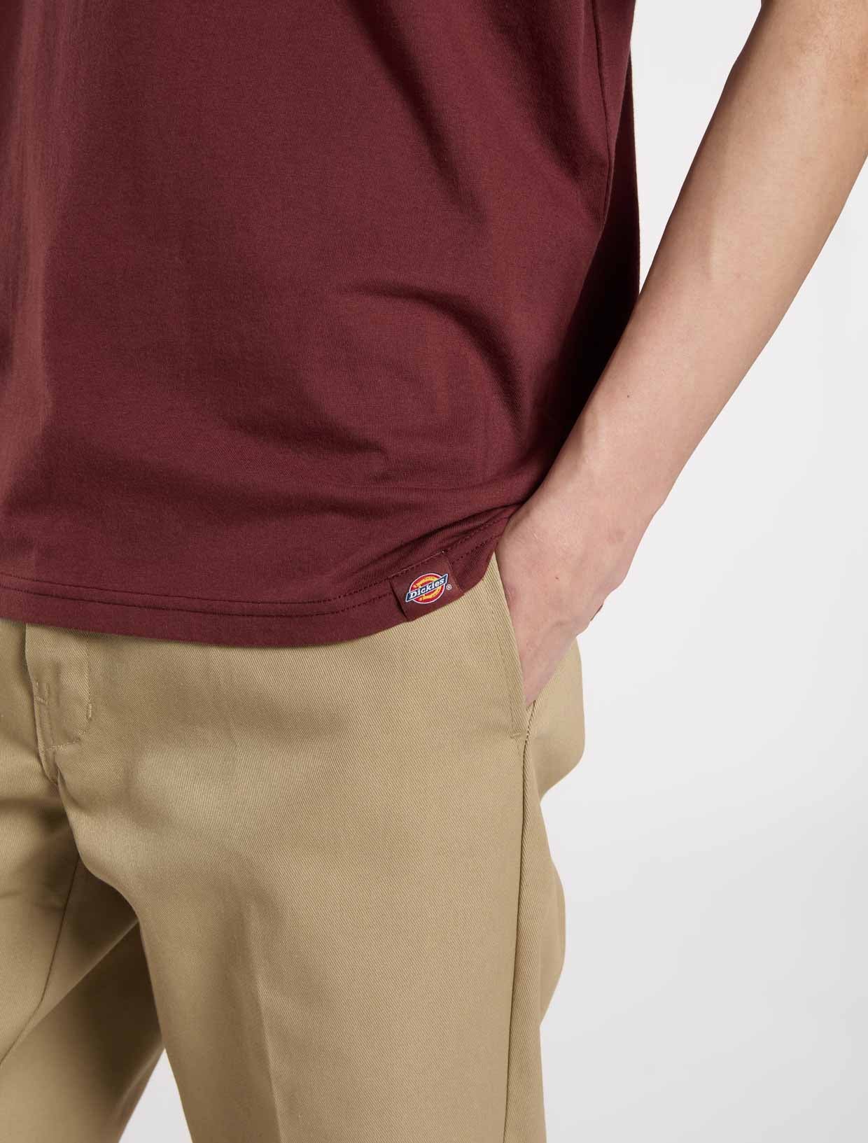 Polo Dickies Diner Tee Andorra - Imagen 6