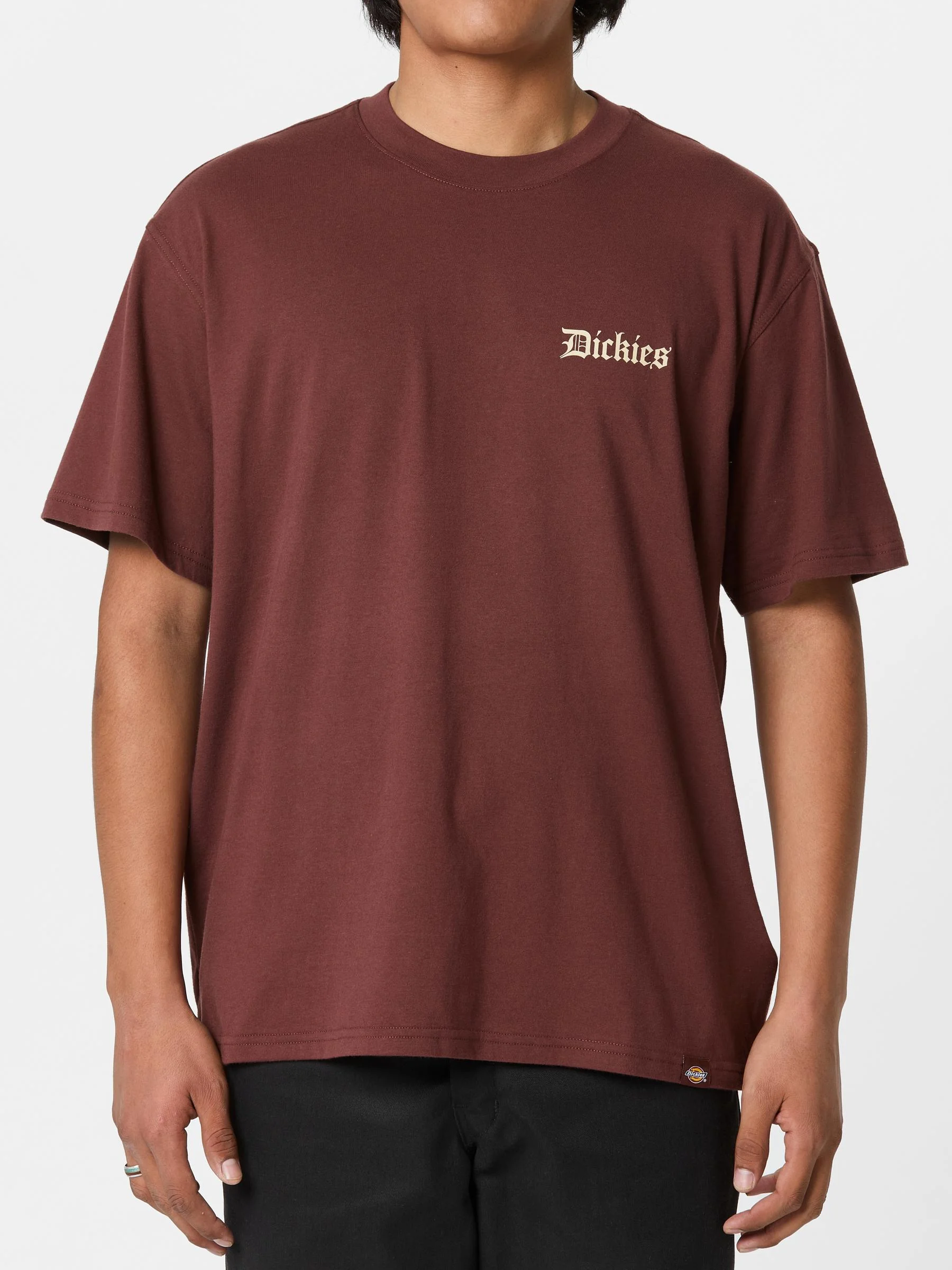 Polo Dickies Diner Tee Andorra - Imagen 4