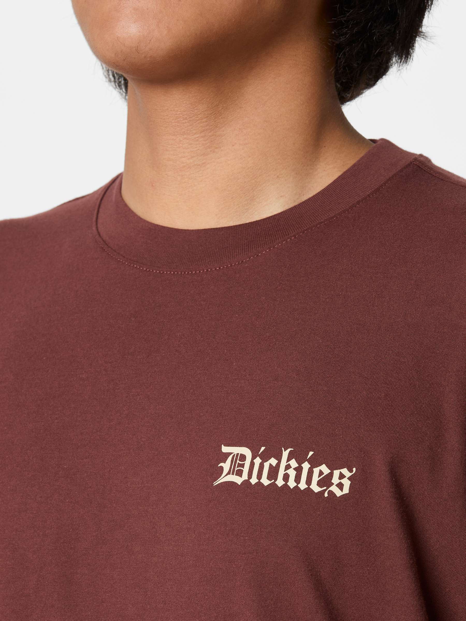 Polo Dickies Diner Tee Andorra - Imagen 7